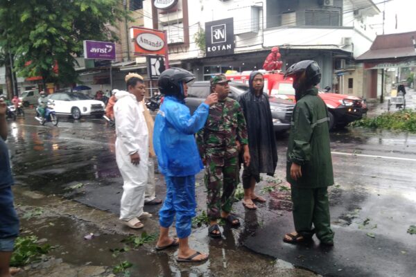 Babinsa Gerak Cepat, Bantu Evakuasi Pohon Tumbang