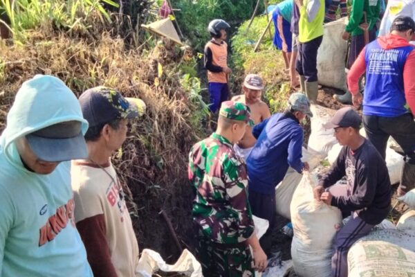 Gotong Royong Babinsa Sumberagung Dan Poktan Tirto Agung Bersihkan Saluran Air Untuk Kelancaran Irigasi