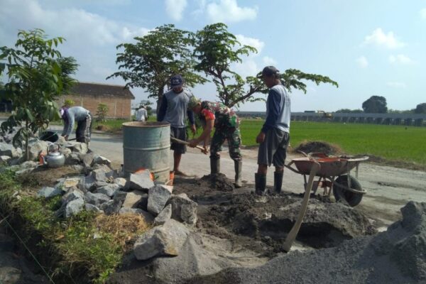 Babinsa Ngemplak Dan Warga Bangun Talud di Persawahan Desa Dibal