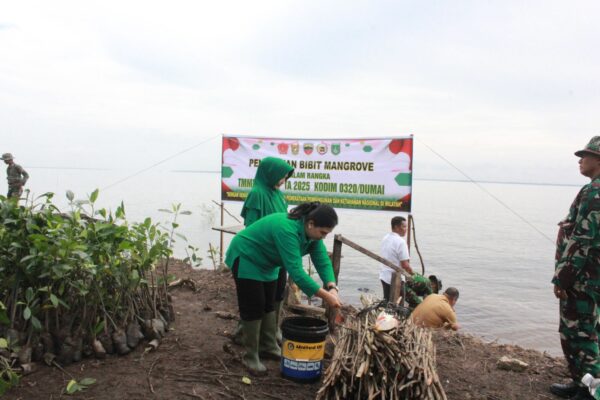 Ratusan Pohon Mangrove Hijaukan Pantai Purnama dalam Semangat TMMD ke-124 Kodim 0320/Dumai