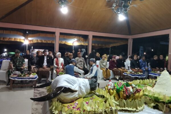 Sedekah Gunung Merapi Tradisi Unik Dan Kental Budaya Jawa
