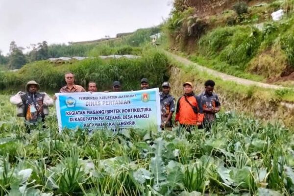 Perkuat Petani Milenial Kabupaten Jayawijaya Mendorong Magang/Bintek Kabupaten Magelang Provinsi Jawa Tengah