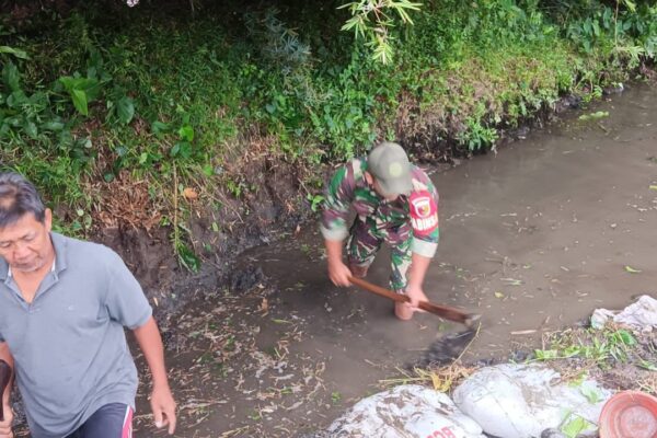 Jaga Kelancaran Pengairan Pertanian, Babinsa Desa Gondang Ajak Warga Kerja Bakti Memperbaiki Tanggul Sungai