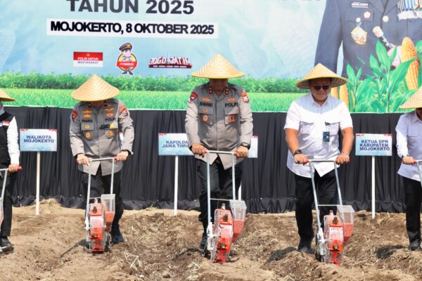 Kapolda Jatim Pimpin Penanaman Jagung Serentak Kwartal IV di Mojokerto Pakai Benih Eco Bhayangkara